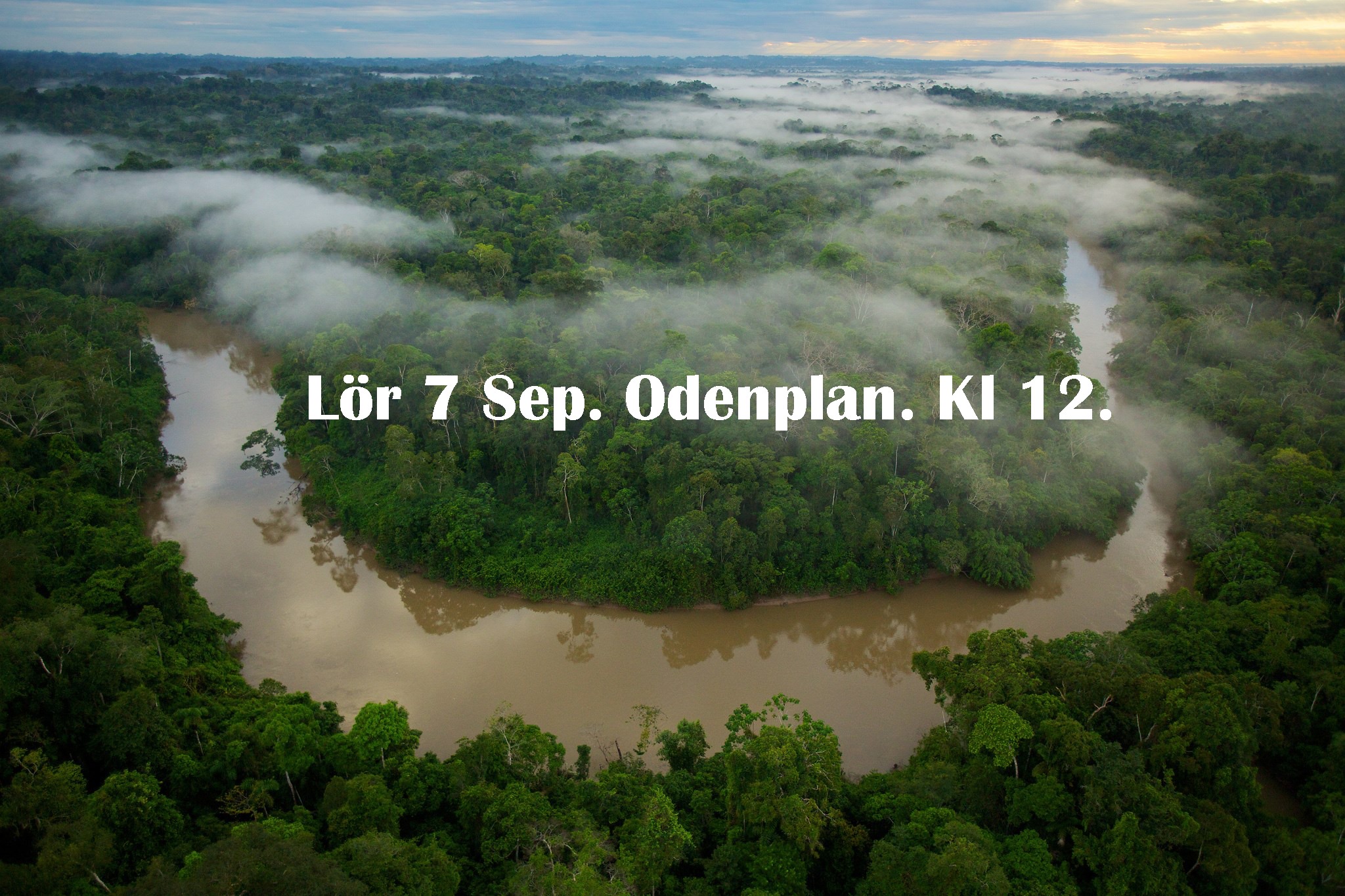 Amazonas manifestation – 7/9