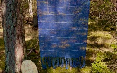 Eatnama jienat/Jordens röster